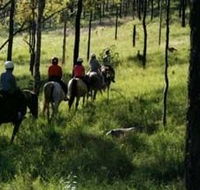 Hunter Valley Horse Riding and Adventures - Tourism TAS
