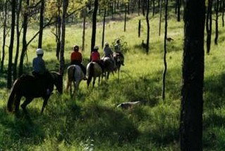 Hunter Valley Horse Riding And Adventures - Tourism TAS 0