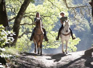 Hunter Valley Horse Riding And Adventures - Tourism TAS 1