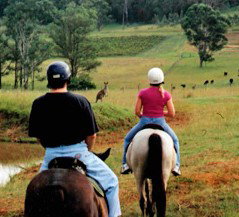Hunter Valley Horse Riding And Adventures - Tourism TAS 3