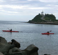 Newcastle Kayak Tours - Tourism TAS