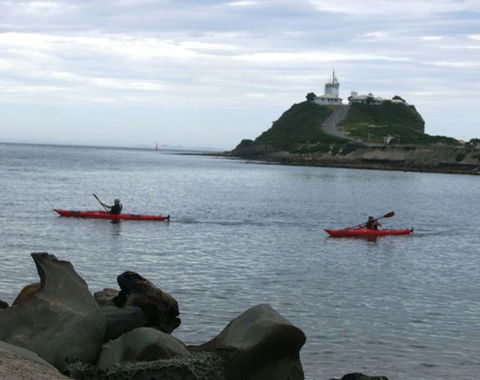 Newcastle Kayak Tours - Hobart Tourism 0
