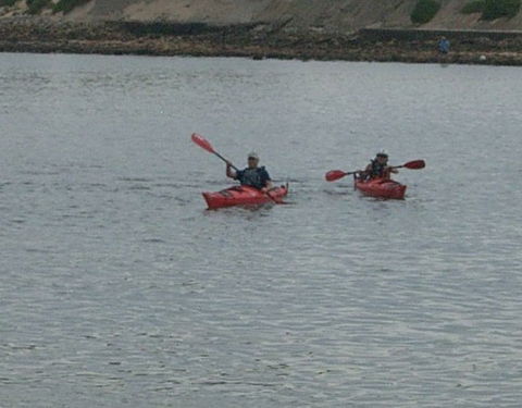 Newcastle Kayak Tours - Hobart Tourism 4