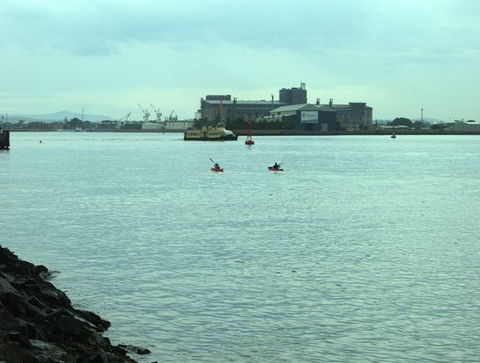 Newcastle Kayak Tours - Hobart Tourism 5
