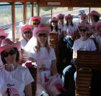 Newcastles Famous Tram - Tourism TAS