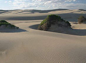 Port Stephens 4WD Tours - Tourism TAS 1
