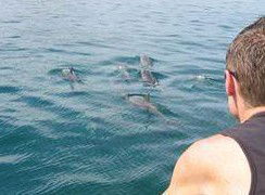 Tex Tours - Tourism TAS 3