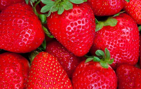 Newcastle City Farmers Markets - Hobart Tourism 2