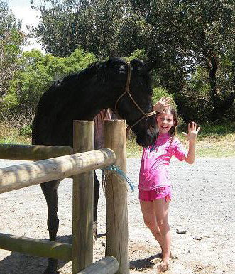 Pegasus Park Equestrian Centre - Tourism TAS 3