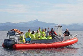 Byron Bay Whale Watching - Hobart Tourism 2