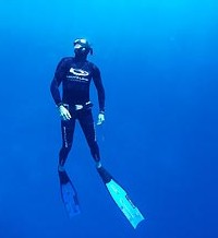 Byron Bay Dive Centre - Tourism TAS 1