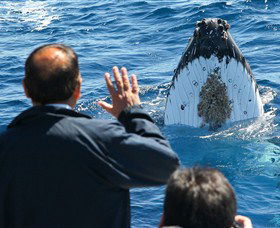 Bass & Flinders Cruises - Hobart Tourism 3