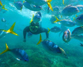 G Adventures - Hobart Tourism 0