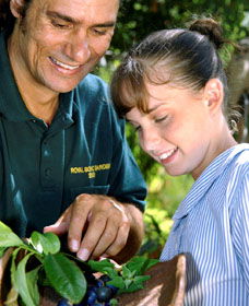 Aboriginal Heritage Tour - Tourism TAS 1