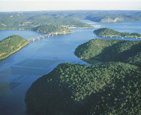 Wagstaffe NSW Tourism TAS