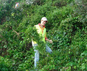 Conservation Volunteers Australia - Sydney - Hobart Tourism 2