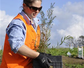 Conservation Volunteers Australia - Sydney - Hobart Tourism 3