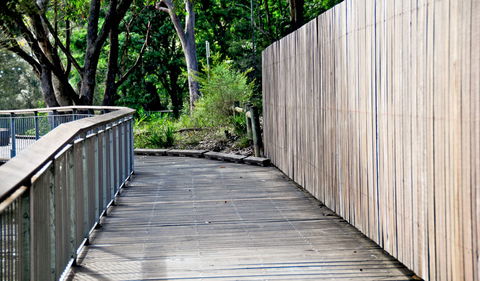 Riverside Walking Track - Tourism TAS 0