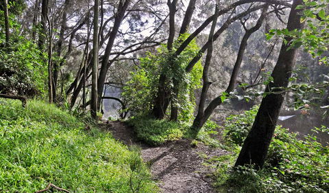 Riverside Walking Track - Tourism TAS 2
