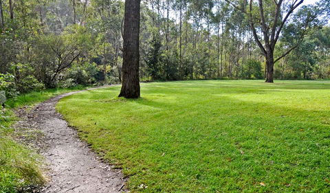 Riverside Walking Track - Tourism TAS 3
