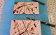 Jennys Painted Pots - thumb 0