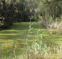 Second Ponds Creek walk - Tourism TAS