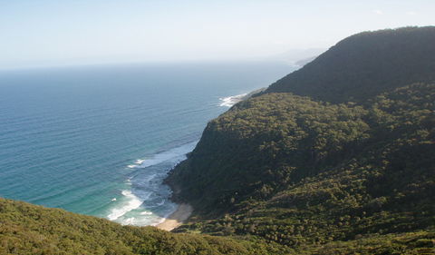 Palm Jungle Loop Track - Tourism TAS 1