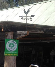 Canoelands Orchard - Tourism TAS 3