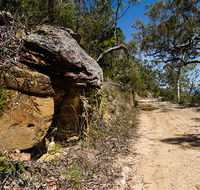 Canoelands Ridge walking track - Tourism TAS