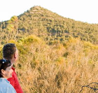 Piles Creek loop - Tourism TAS