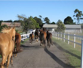 Darkes Forest Riding Ranch - Tourism TAS 1