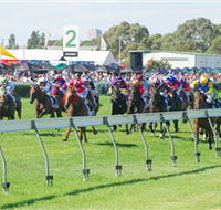 Morphettville Racecourse - Tourism TAS