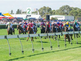 Morphettville Racecourse - Tourism TAS 0