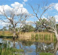 Lagoon Creek - Hobart Tourism