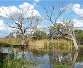 Lagoon Creek - Hobart Tourism 0