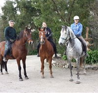 Academy of Dressage - Tourism TAS