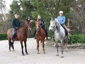 Academy Of Dressage - Tourism TAS 0