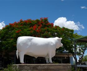 Aramac - The White Bull - Tourism TAS 1