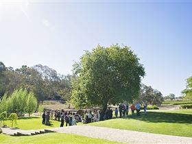 Howard Vineyard - Hobart Tourism 1