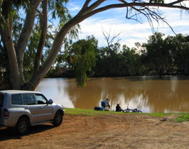 Warrego River Walk - Tourism TAS 1