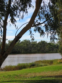 Warrego River Walk - Tourism TAS 2