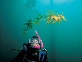 Rapid Bay Beach - Tourism TAS 1