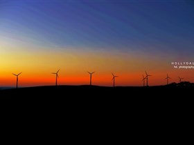 Starfish Hill Windfarm - Tourism TAS 0