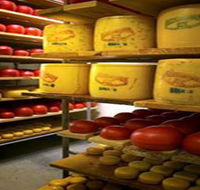Alexandrina Cheese Company - Tourism TAS