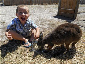 Animal Farm Goolwa - Tourism TAS 0