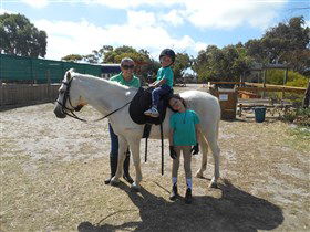 Animal Farm Goolwa - Tourism TAS 2