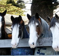Victor Harbor Horse Drawn Tramway - Tourism TAS