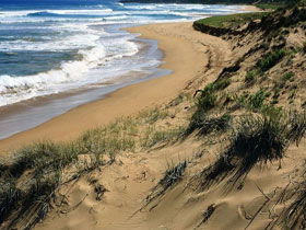 Waitpinga SA Hobart Tourism