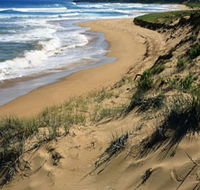 Newland Head Conservation Park - Hobart Tourism