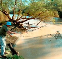 Charleville - Ward River Fishing Spot - Tourism TAS